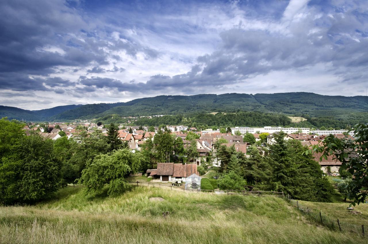 Landgasthof Zur Sonne Wehr  Εξωτερικό φωτογραφία
